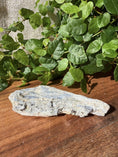 Load image into Gallery viewer, Date Blue Kyanite - Studio Selyn