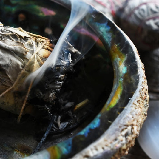 White Sage Smudge Stick - Studio Selyn