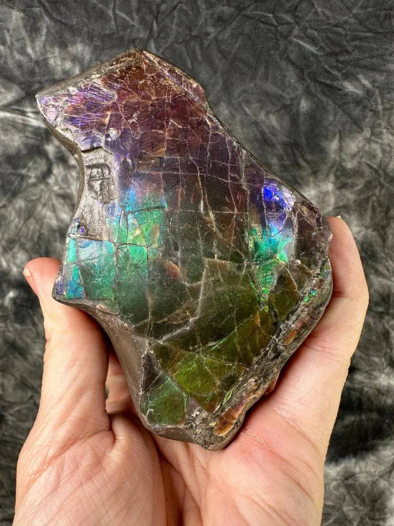 Ammolite Crystal #171 - Studio Selyn