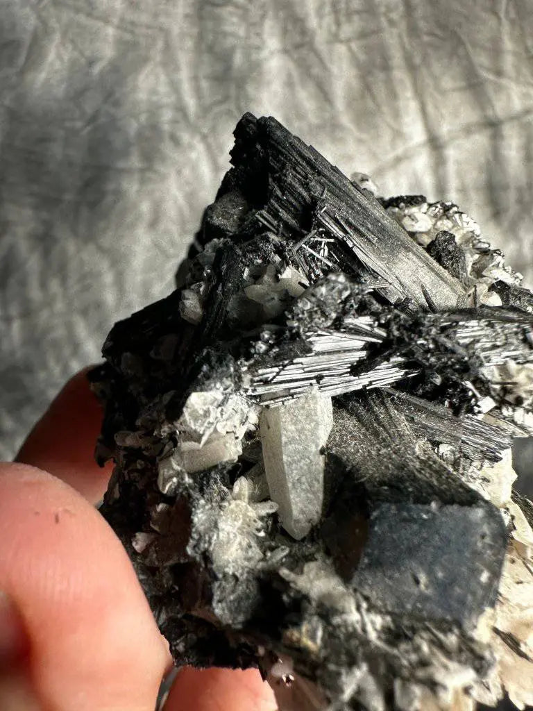 Black Tourmaline in Quartz Crystal #491 - Studio Selyn