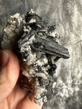 Load image into Gallery viewer, Black Tourmaline in Quartz Crystal #491 - Studio Selyn
