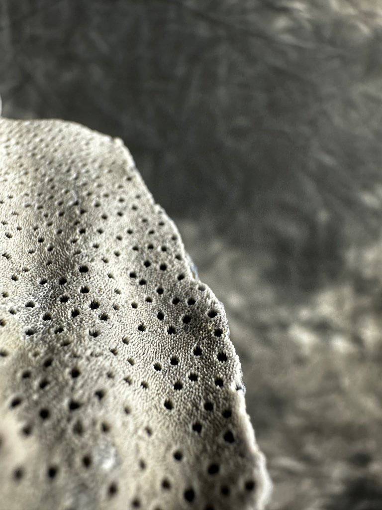 Blue Coral Crystal #566 - Studio Selyn