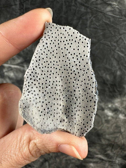 Blue Coral Crystal #566 - Studio Selyn