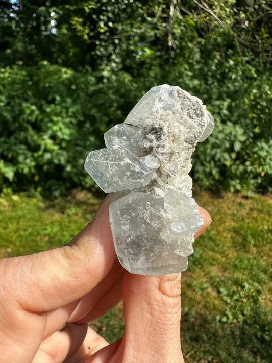Celestite Crystal #148 - Studio Selyn