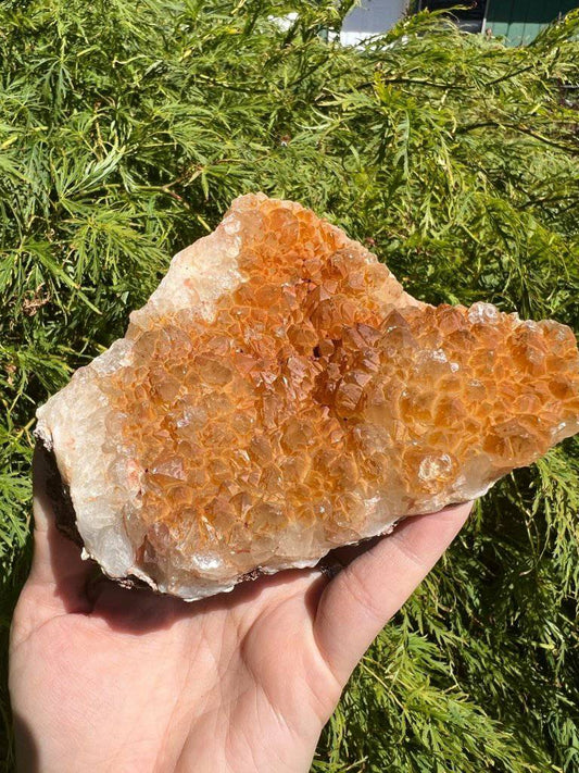 Citrine Crystal #188 - Studio Selyn