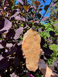 Load image into Gallery viewer, Citrine Crystal #462 - Studio Selyn