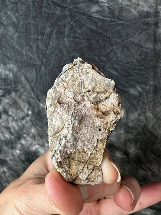 Merlinite Crystal #155 - Studio Selyn