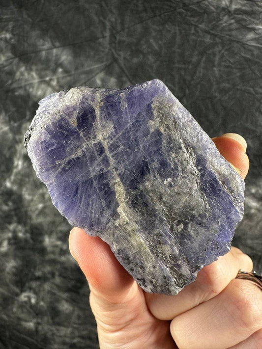 Tanzanite Crystal #548 - Studio Selyn