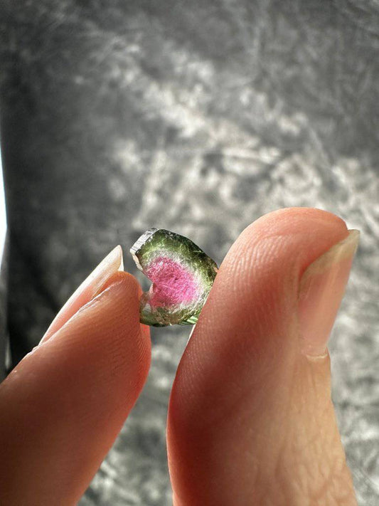 Watermelon Tourmaline Crystal #272 - Studio Selyn