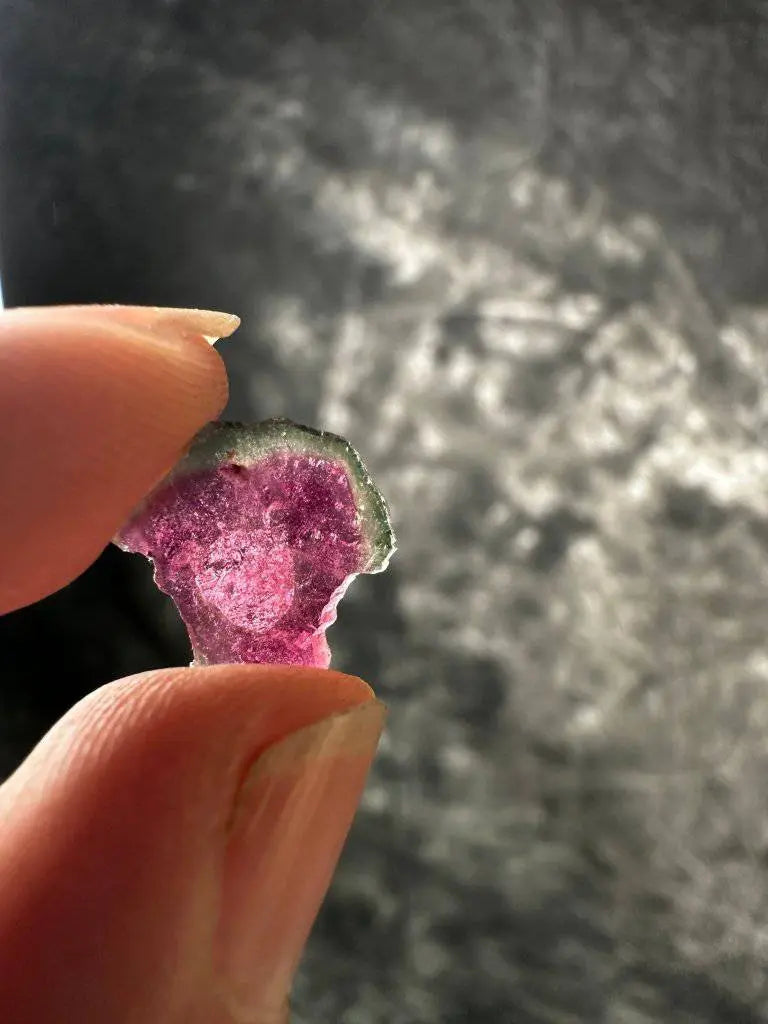 Watermelon Tourmaline Crystal #276 - Studio Selyn