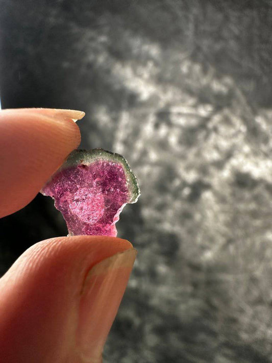 Watermelon Tourmaline Crystal #276 - Studio Selyn