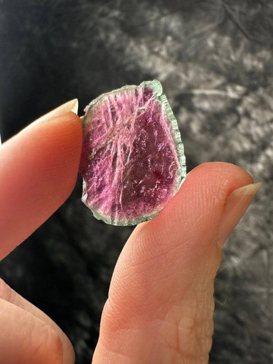 Watermelon Tourmaline Crystal #278 - Studio Selyn