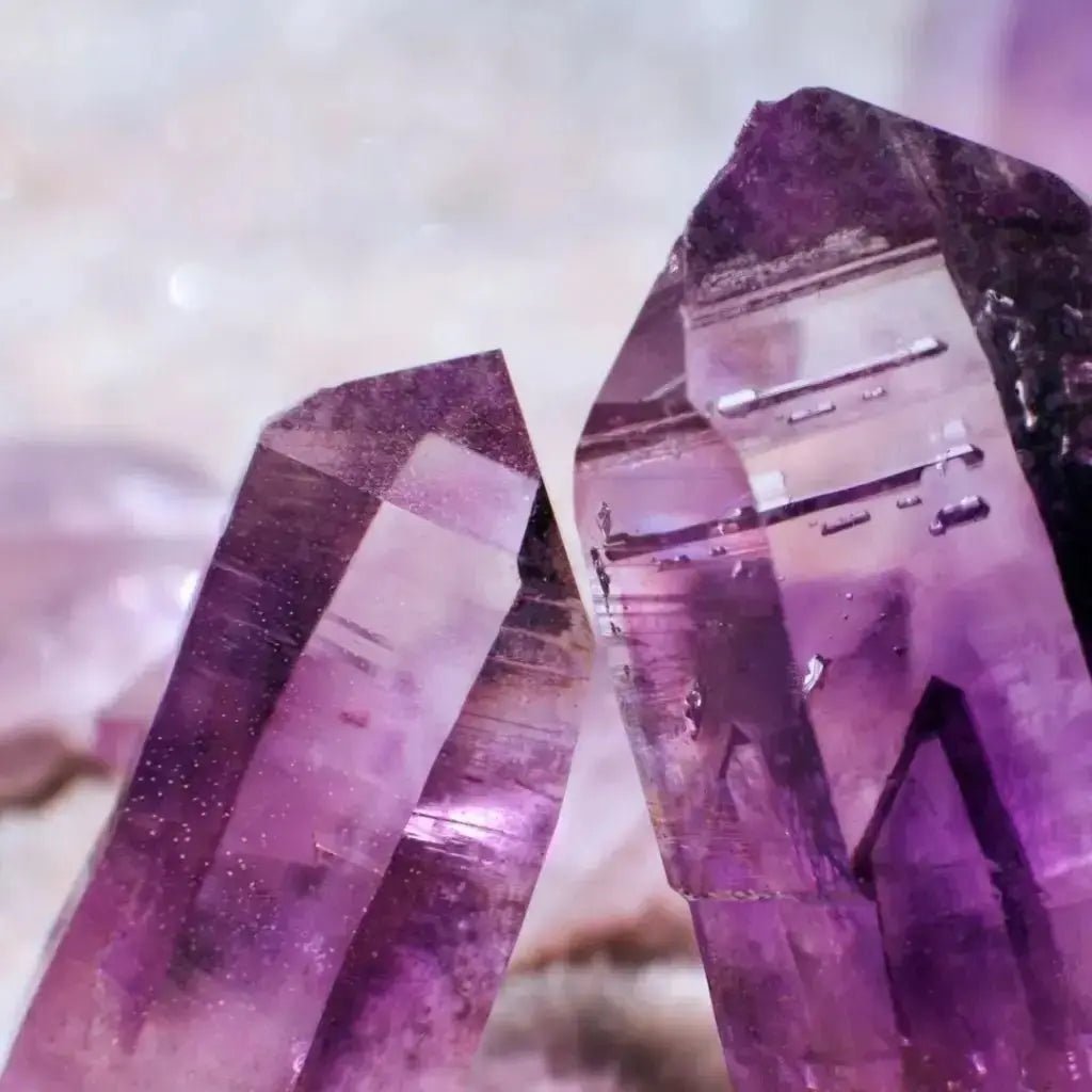Amethyst Crystal Collection - Studio Selyn