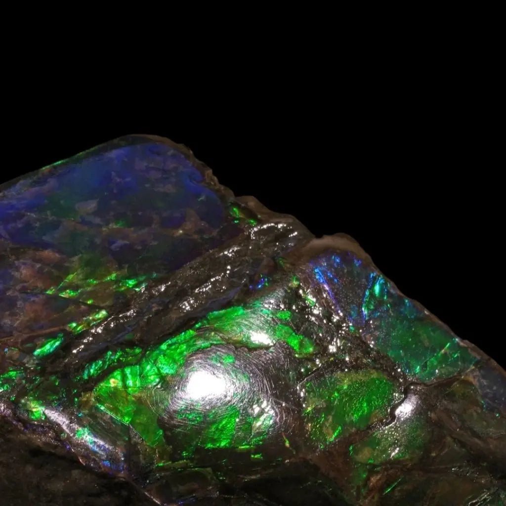 Ammolite Crystal Collection - Studio Selyn