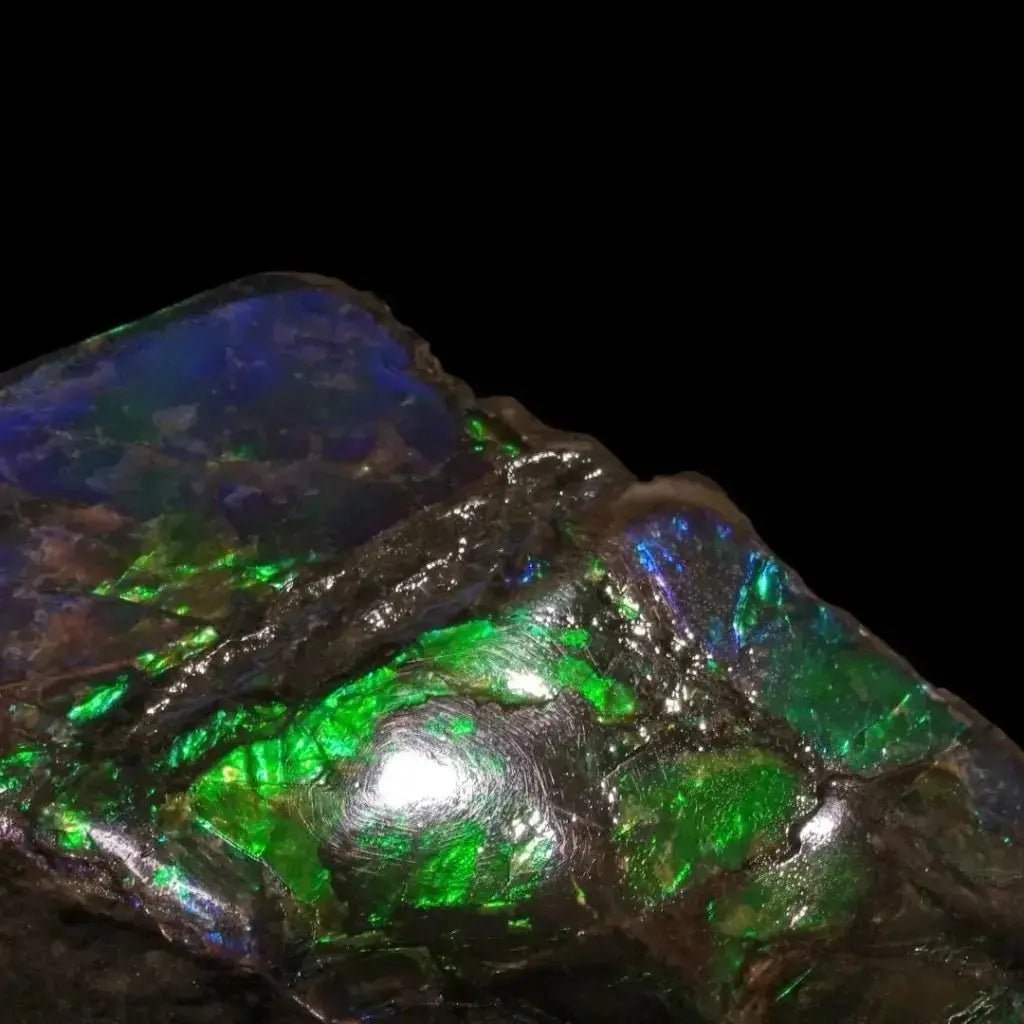 Ammolite Crystal Collection - Studio Selyn