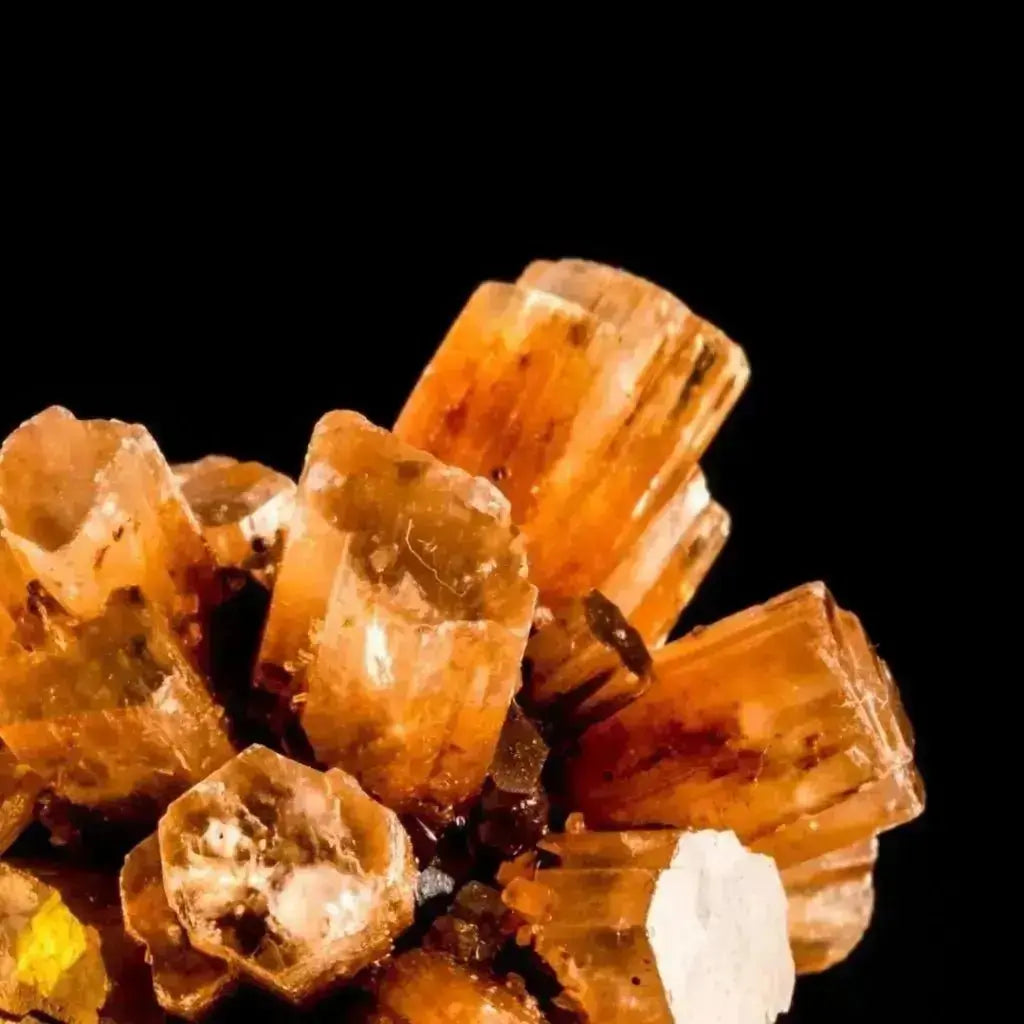 Aragonite Crystal Collection - Studio Selyn