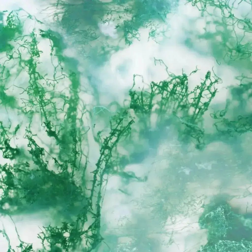 Moss Agate Crystal Collection - Studio Selyn