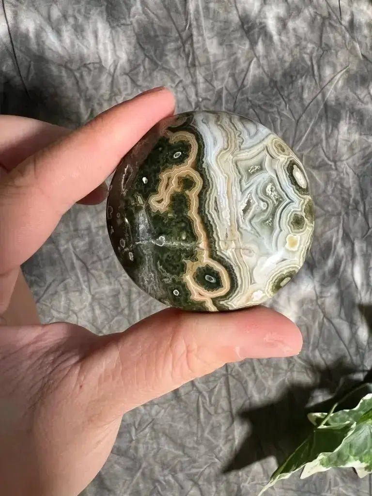Ocean Jasper Crystal Collection - Studio Selyn