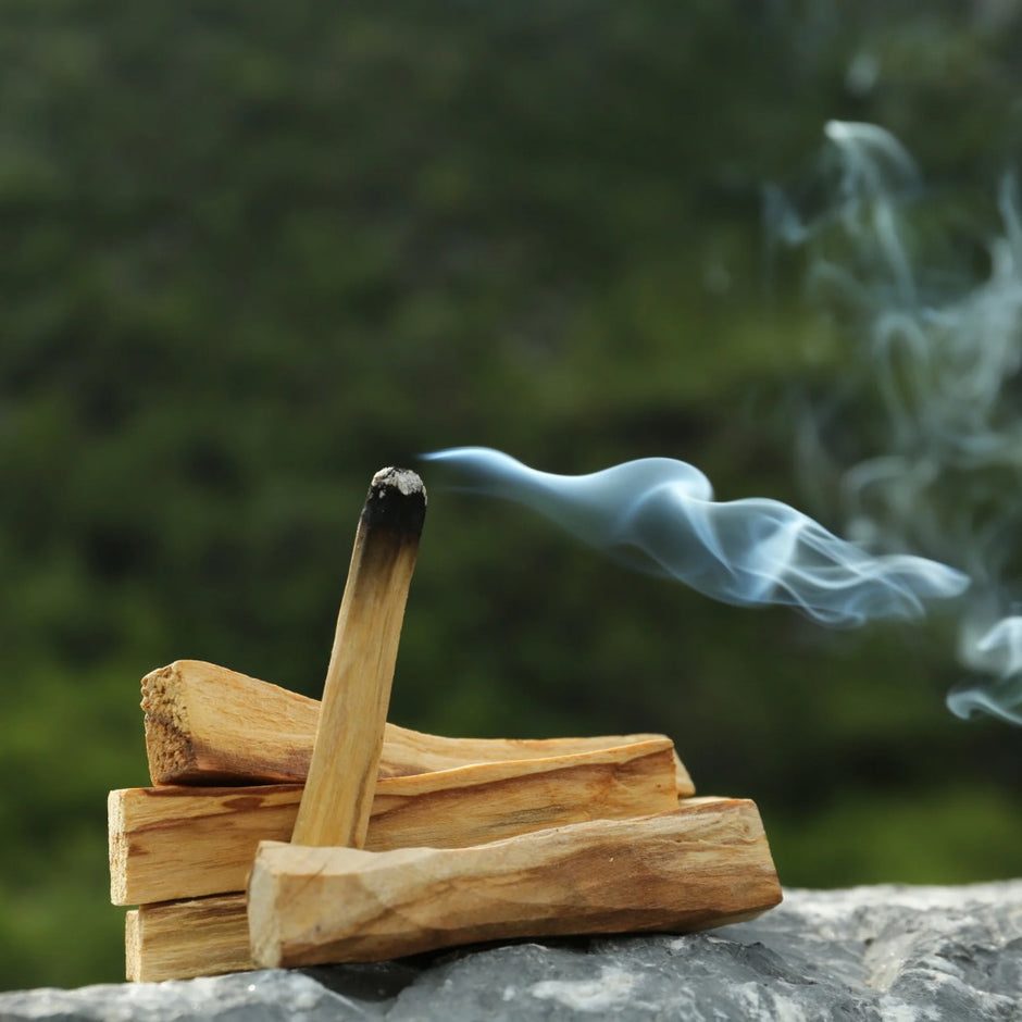 Palo Santo Sacred Wood Stick - Studio Selyn 
