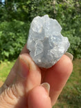 Load and play video in Gallery viewer, Celestite Cluster Crystal #144, Celestite, Raw Celestite, Natural Celestite, blue crystal, blue Celestite, healing crystal
