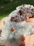 Load and play video in Gallery viewer, Garnet on Quartz Druzy Crystal #429,  Red Garnet, Raw Garnet, Natural Garnet, Garnet Mineral, Garnet Crystal
