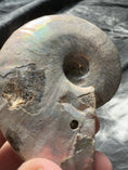 Load and play video in Gallery viewer, Ammolite Crystal #1
