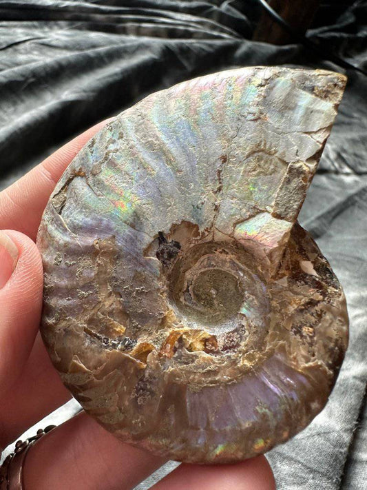 Ammolite Crystal #1 - Studio Selyn