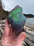 Load image into Gallery viewer, Ammolite Crystal #171 - Studio Selyn

