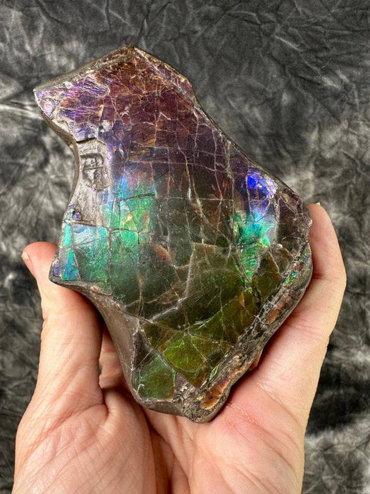 Ammolite Crystal #171 - Studio Selyn