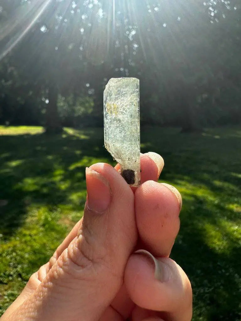 Aquamarine with Tourmaline Crystal #141 - Studio Selyn