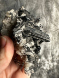 Load image into Gallery viewer, Black Tourmaline in Quartz Crystal #491 - Studio Selyn
