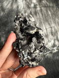 Load image into Gallery viewer, Black Tourmaline in Quartz Crystal #491 - Studio Selyn
