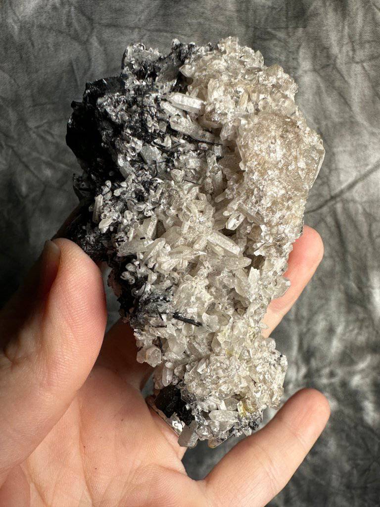 Black Tourmaline in Quartz Crystal #491 - Studio Selyn