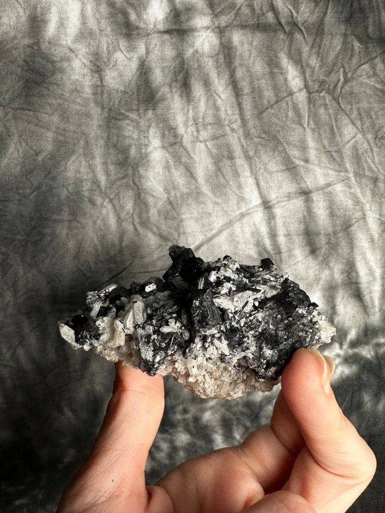Black Tourmaline in Quartz Crystal #491 - Studio Selyn