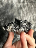 Load image into Gallery viewer, Black Tourmaline in Quartz Crystal #491 - Studio Selyn
