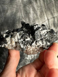 Load image into Gallery viewer, Black Tourmaline in Quartz Crystal #491 - Studio Selyn
