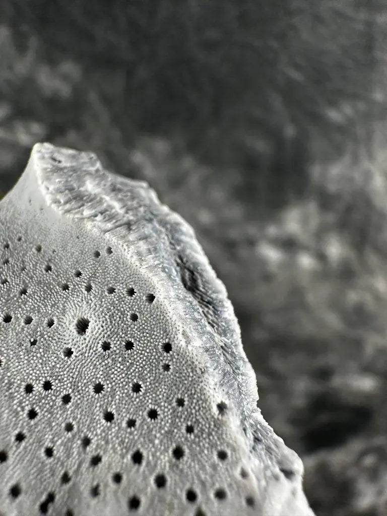 Blue Coral Crystal #567 - Studio Selyn