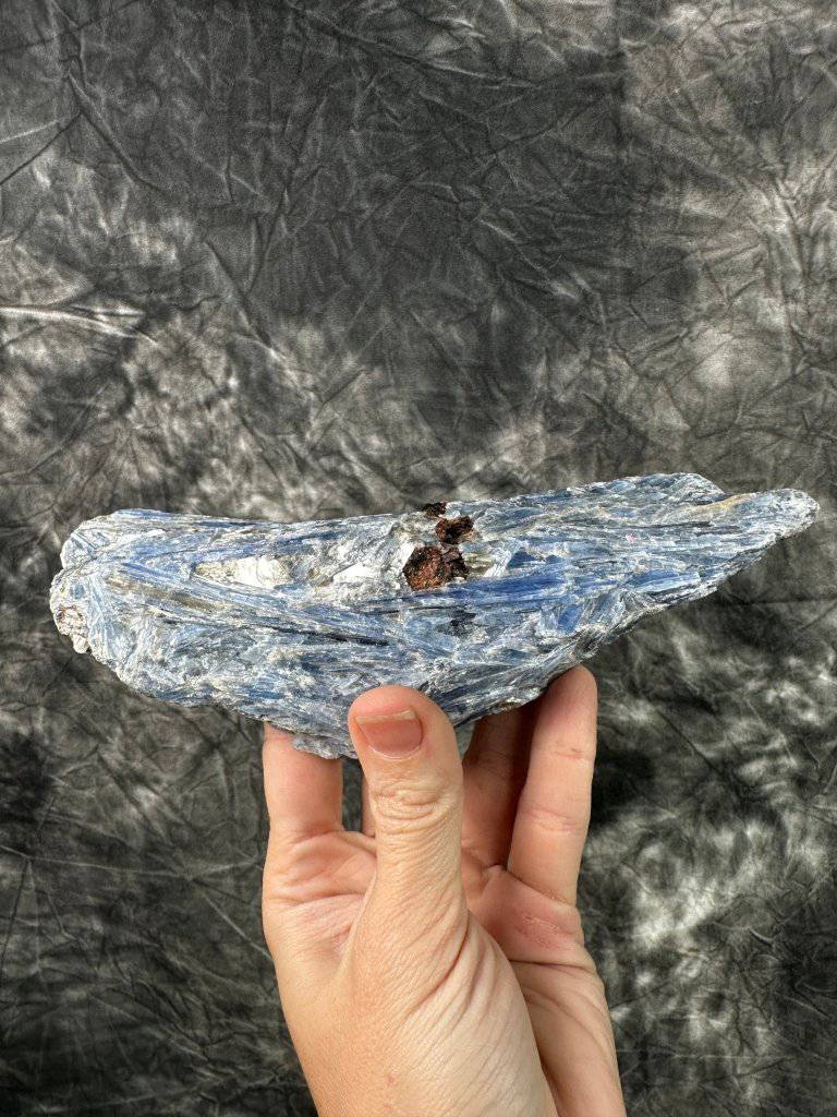 Blue Kyanite Crystal #412 - Studio Selyn