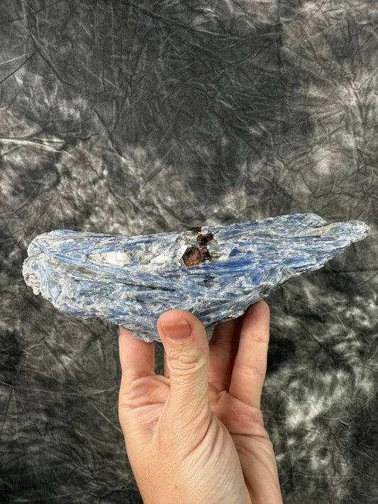 Blue Kyanite Crystal #412 - Studio Selyn