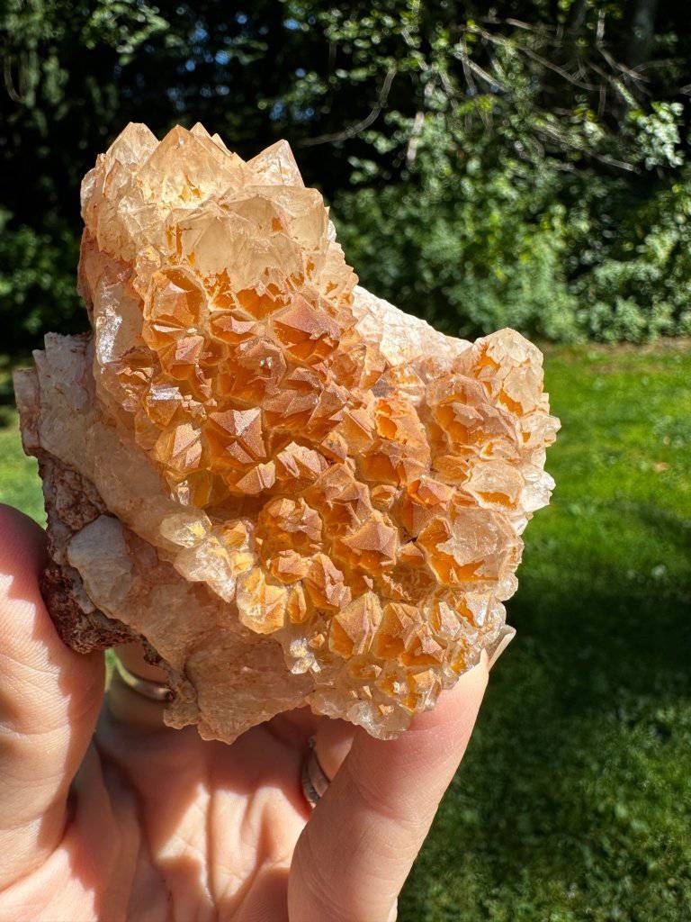 Citrine Crystal #187 - Studio Selyn