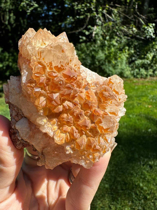 Citrine Crystal #187 - Studio Selyn