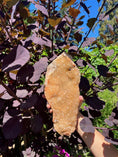 Load image into Gallery viewer, Citrine Crystal #462 - Studio Selyn
