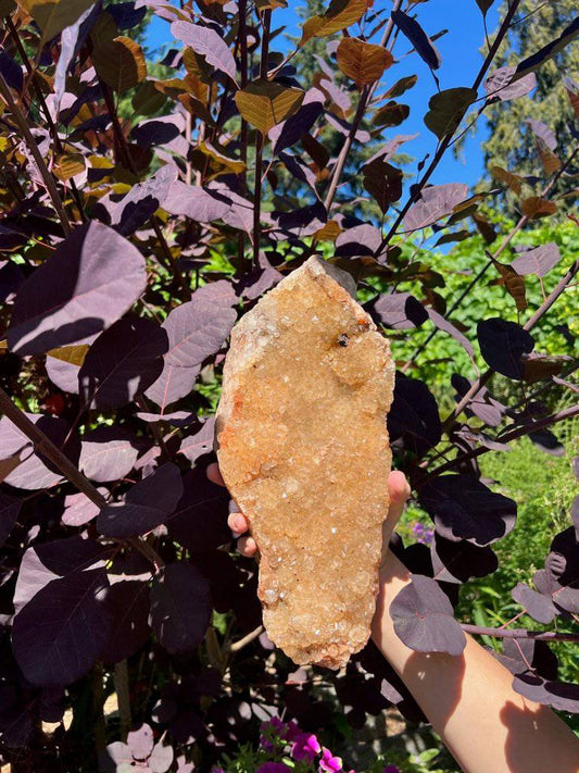 Citrine Crystal #462 - Studio Selyn