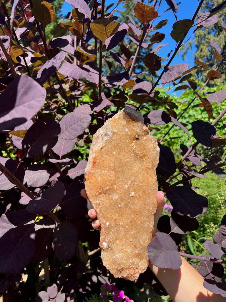 Citrine Crystal #462 - Studio Selyn