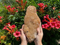 Load image into Gallery viewer, Citrine Crystal #462 - Studio Selyn
