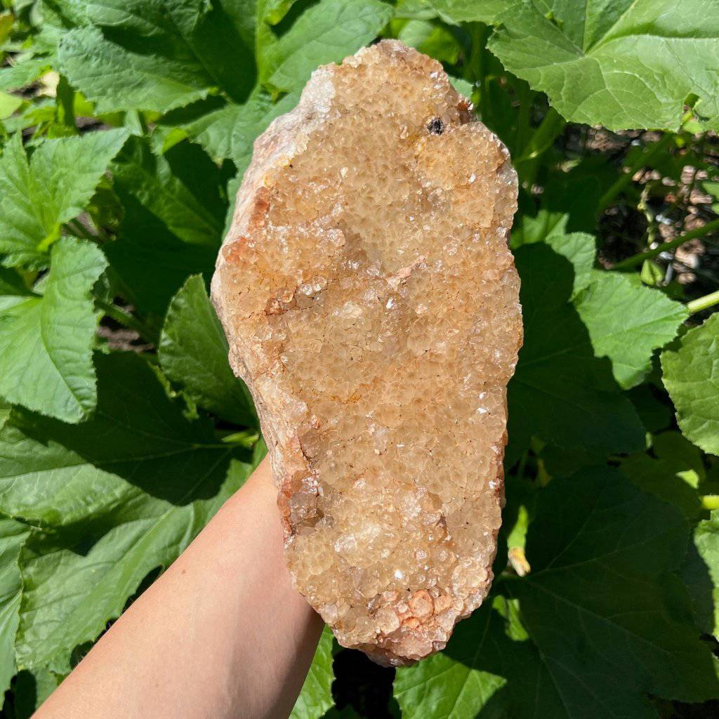 Citrine Crystal #462 - Studio Selyn