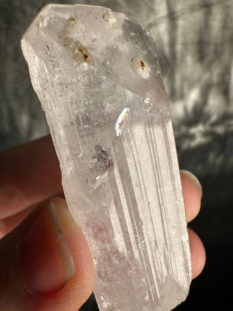 Danburite Crystal #452 - Studio Selyn