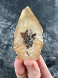 Load image into Gallery viewer, Dog Tooth Stellar Beam Calcite Crystal #560 - Studio Selyn
