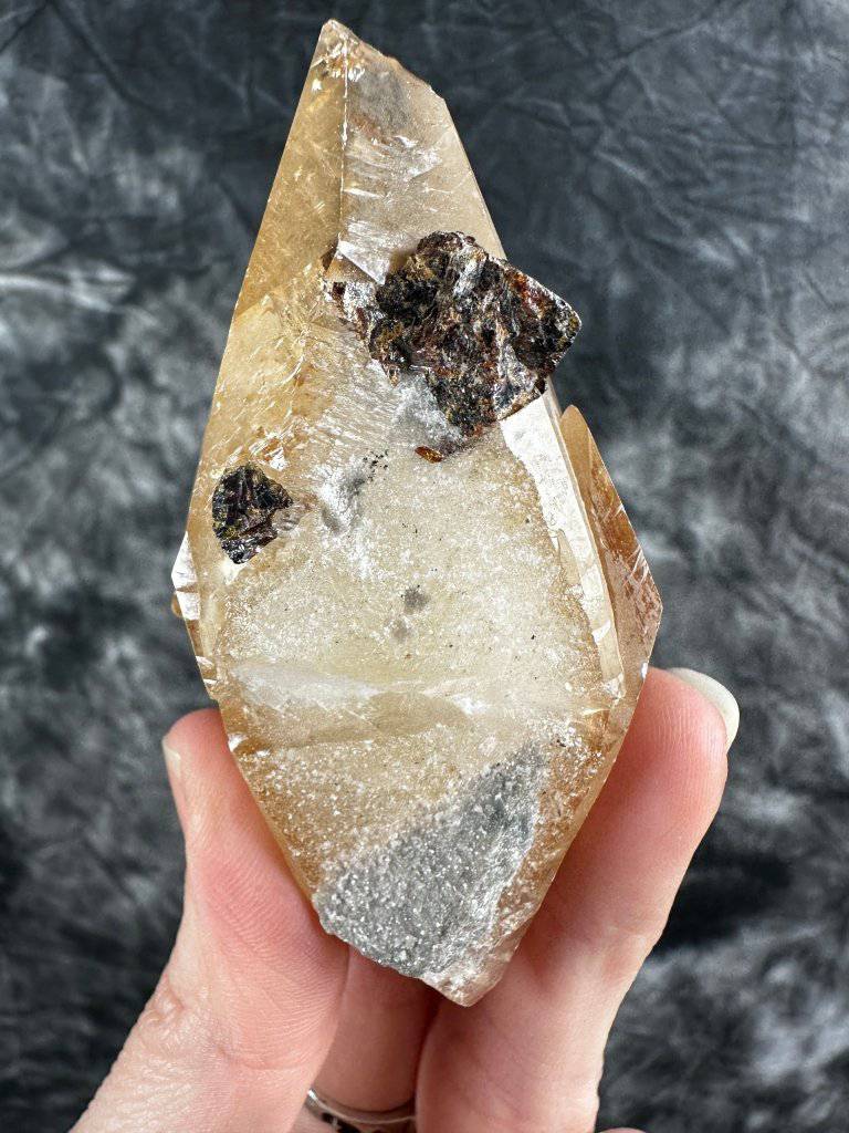 Dog Tooth Stellar Beam Calcite Crystal #560 - Studio Selyn