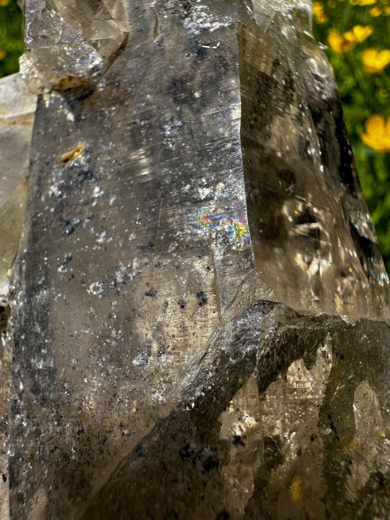 Elestial Quartz Crystal #119 - Studio Selyn